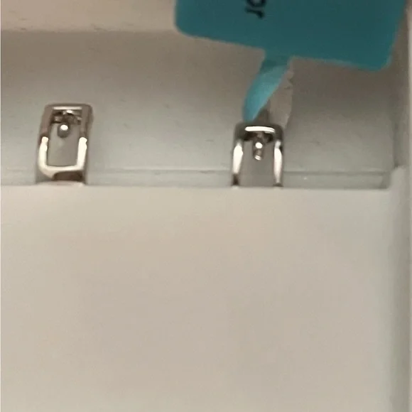 Moissanite 925 Sterling Silver Huggie Earrings 0.53 CTW VVSD (NWT) - Picture 7 of 10